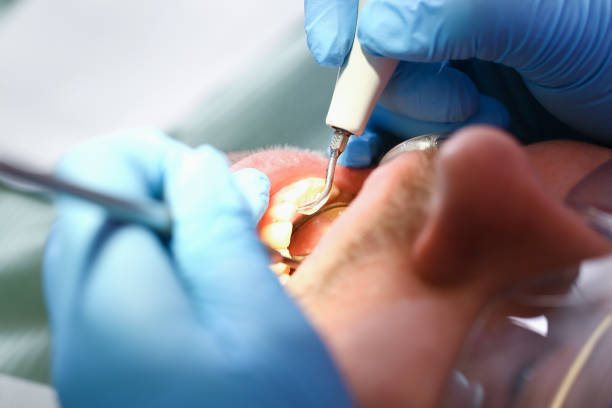 Best Dental Emergency Near Me  in Central Park, WA