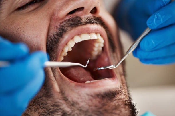 Best Emergency Dental Services Near Me  in Central Park, WA